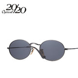 20/20 Brand Classic Polarized Sunglasses Men / Women Designer Vintage Eyewear