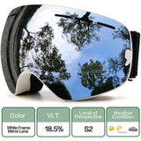 Mirror Double Layered Lens Ski and Snowboard Goggles, with Anti-fog UV400 Protection for Men Women Youth